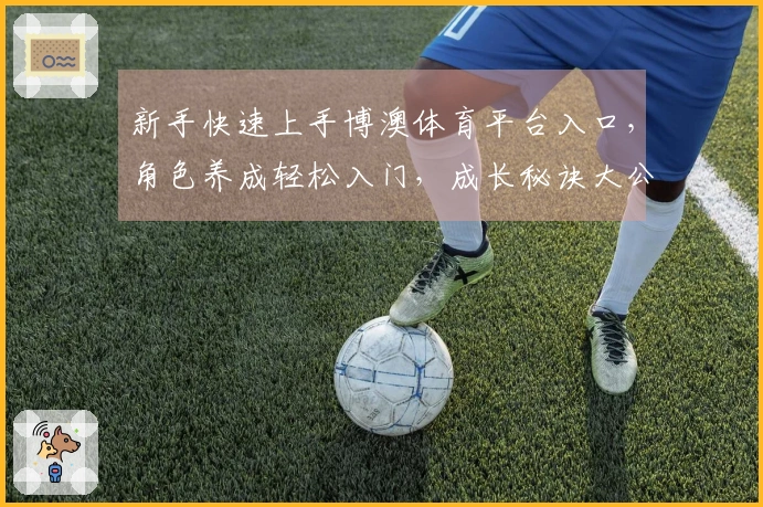 新手快速上手博澳体育平台入口，角色养成轻松入门，成长秘诀大公开