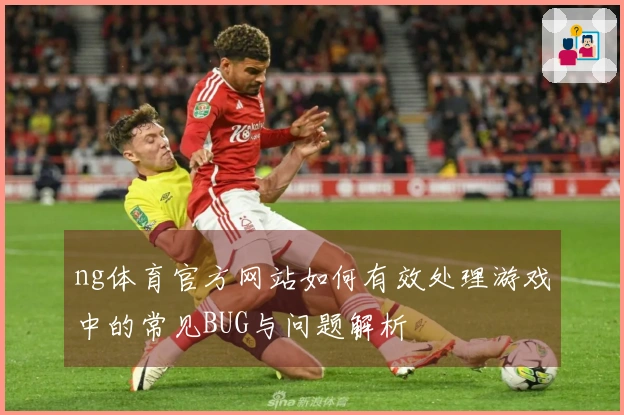 ng体育官方网站如何有效处理游戏中的常见BUG与问题解析