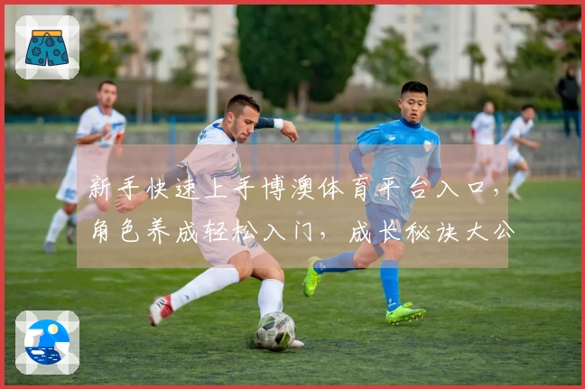 新手快速上手博澳体育平台入口，角色养成轻松入门，成长秘诀大公开