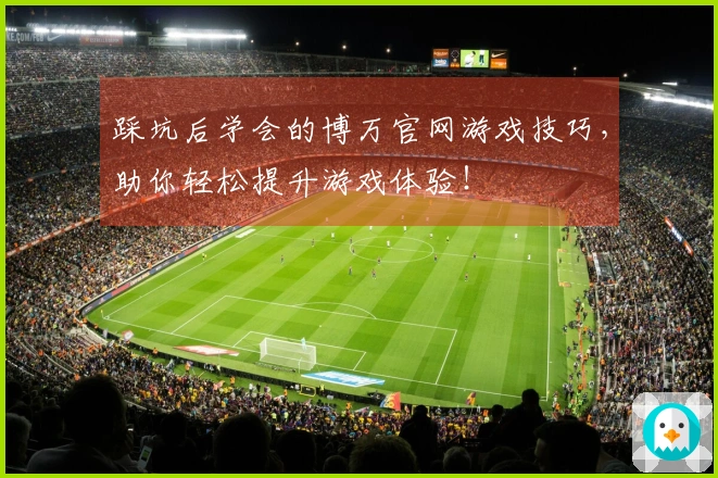 踩坑后学会的博万官网游戏技巧，助你轻松提升游戏体验！